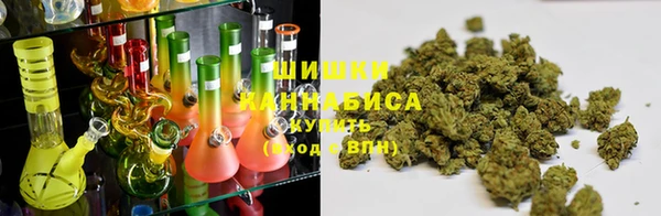 apvp Алексин