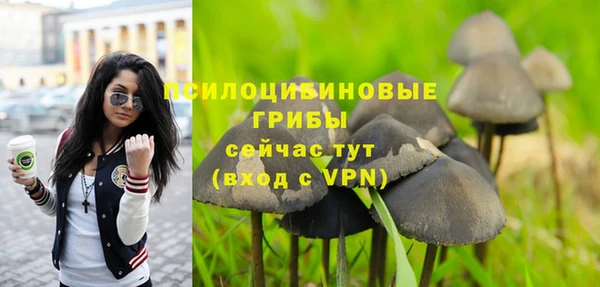 apvp Алексин