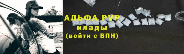 стафф Ростов