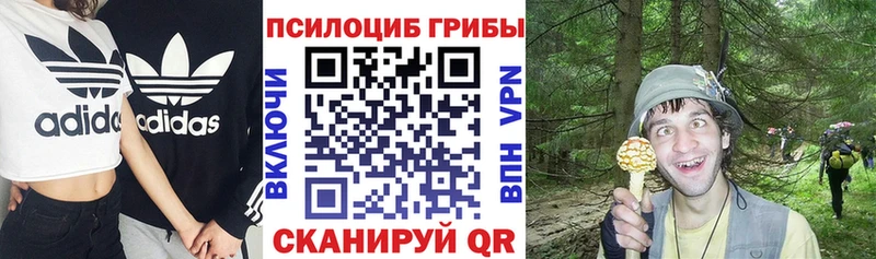 Псилоцибиновые грибы Cubensis Выкса